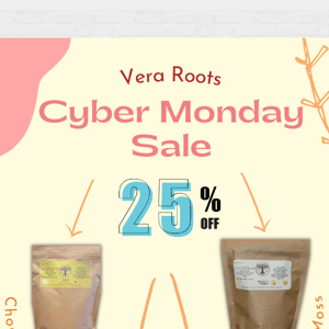 Get. In. Here. Now. The Cyber Monday Sale Has Arrived!