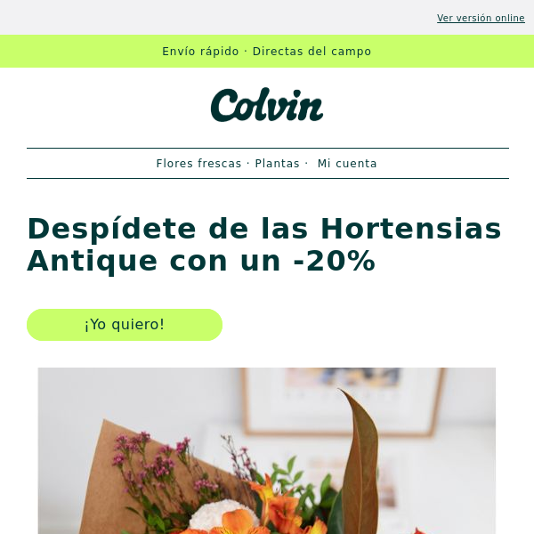 The Colvin Co - Latest Emails, Sales & Deals