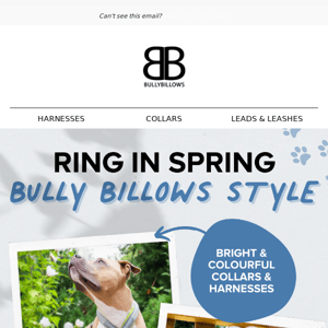 Welcome Spring In BullyBillows Style 🌷