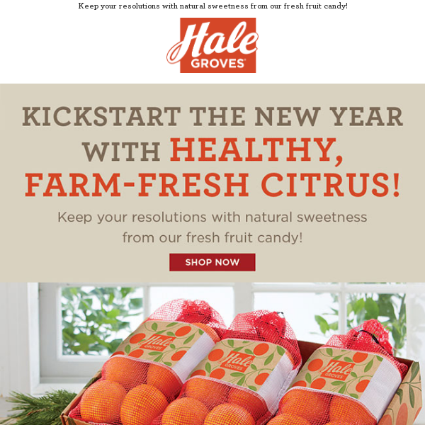 NEW: Farm Fresh Nectarines from Hale Groves! – The Groves