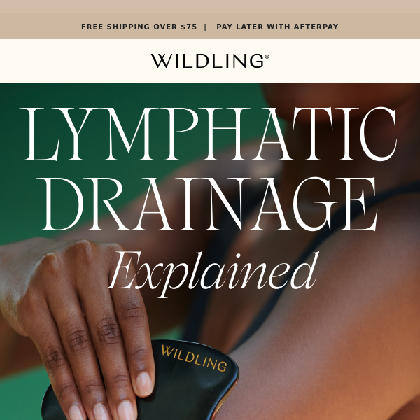 Lymphatic Drainage, Explained