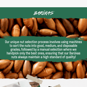 Wondering how we pick our Barùkas nuts?