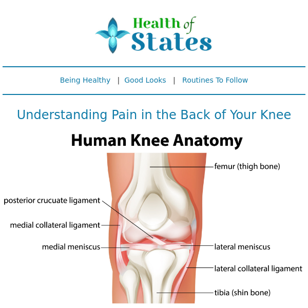 Understanding Pain in the Back of Your Knee