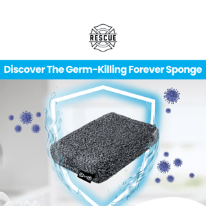 Outlast Germs with Forever Sponge ✨