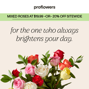 no mixed messages: 12 mixed roses for $19.99