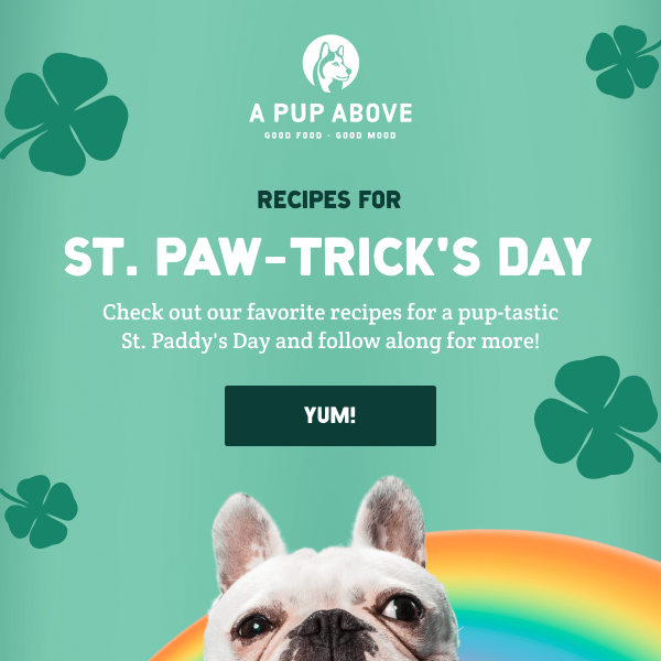 Share St. Paddy’s cheer with your pup