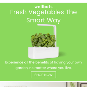 Enjoy a Healthier life with Smart Gardens