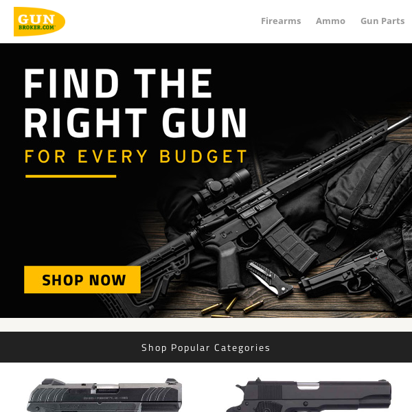 Find The Right Gun On Every Budget!