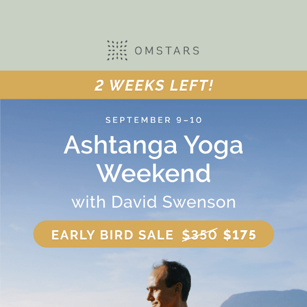 🐣Early bird pricing for David Swenson’s workshop