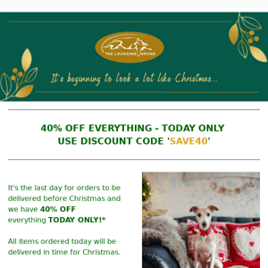 40% Off Everything - Today Only 🐶