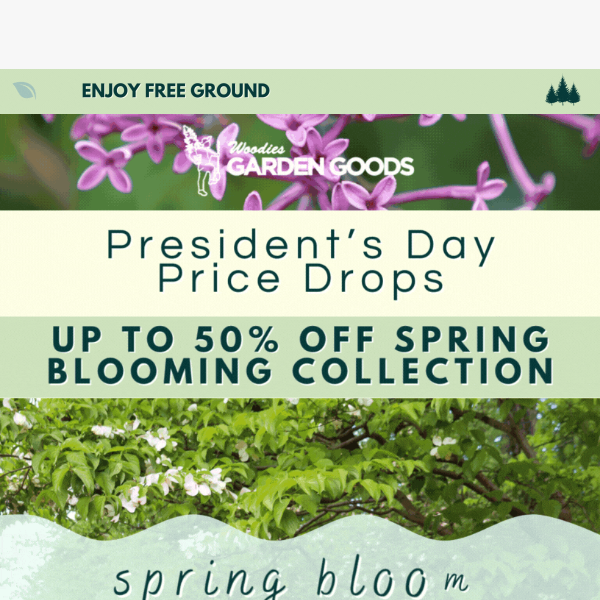 Celebrate President's Day With Spring Bloom Savings🌸