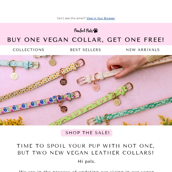 Buy one collar, get one free! 🌈🐕🤩