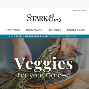 🥔 Shop Veggies for your Garden!
