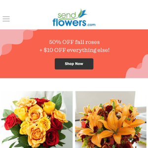 Save 50% on Fall Roses Today!