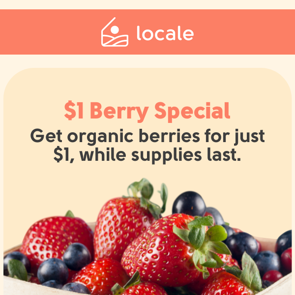 $1 Berries 🫐 Limited-Time Special