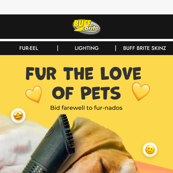 Fur The Love Of Pets
