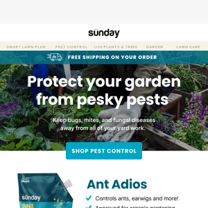 Keep bugs & disease out of your garden!