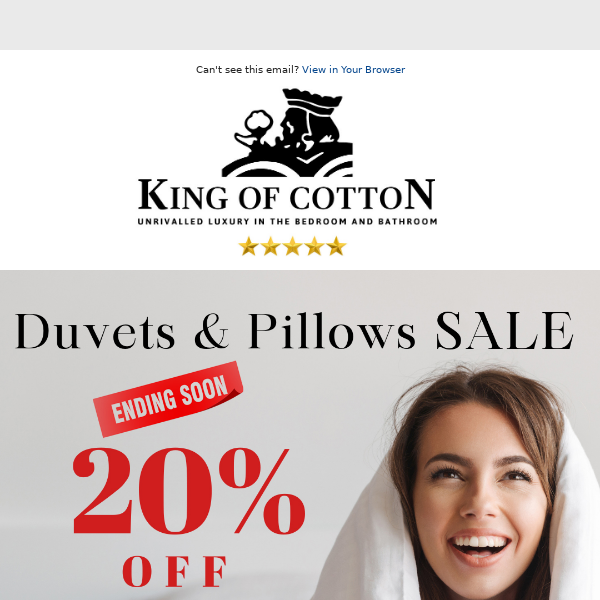 Last Chance! Our 20% Off Duvets and Pillows Sale Ends Soon!