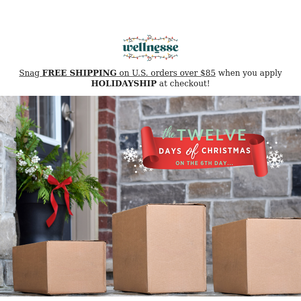 Just In: FREE SHIPPING!