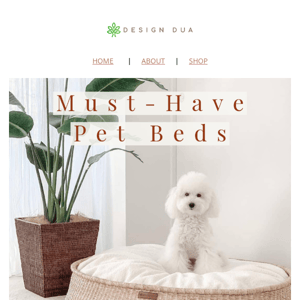 🐈 Weeklong Deals On Pet Beds 🐕