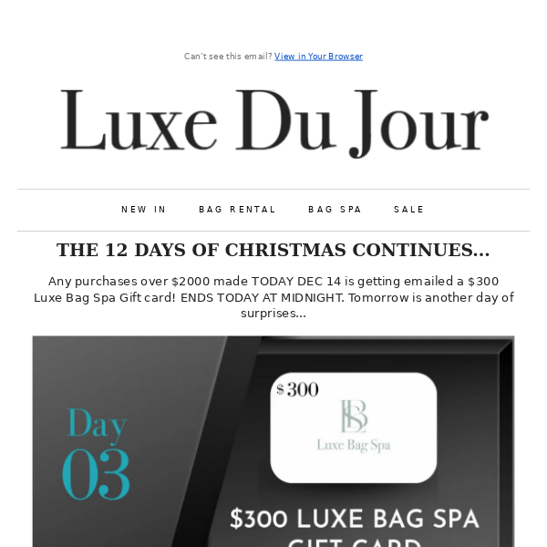 Louis Vuitton Twist Wallet on Chain (WOC) - Luxe Du Jour