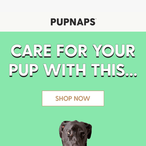 Take good care of your pup with this