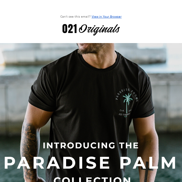 Meet the Paradise Palm Collection 🌴