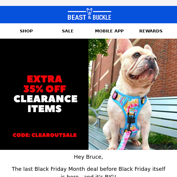 NEW DEAL: Get an extra 35% off clearance items 🐶