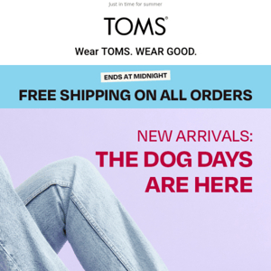 In with the NEW + Free shipping sitewide