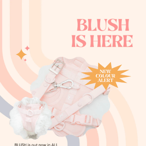 Parker & Co Get Your Blush On: New Colour Now Available!