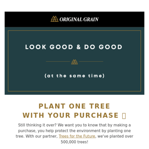 Take 30% OFF + Plant One Tree 🌲