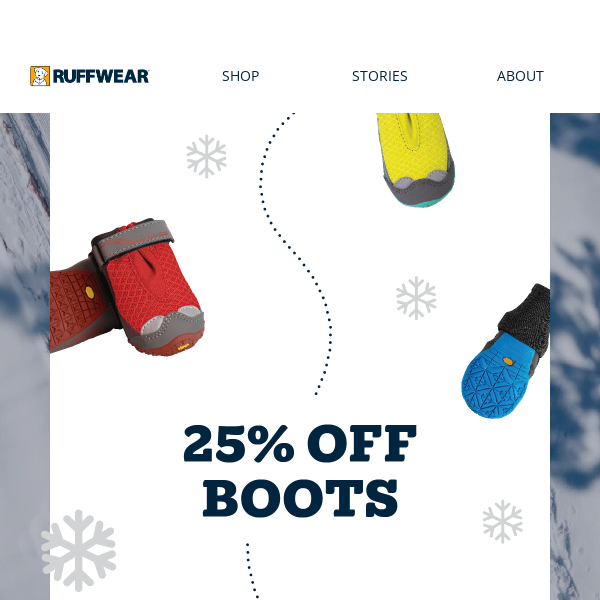 25% Off Boots
