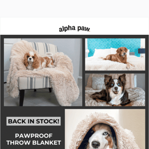 👉 Our PawProof™ Throw Blankets Are Back In Stock...