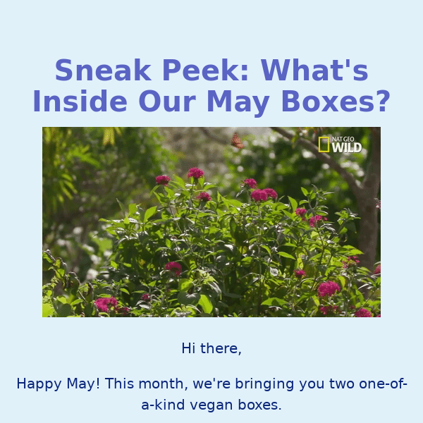 Sneak peek our May boxes 🌷
