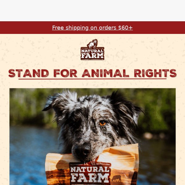 Stand for Animal Rights!