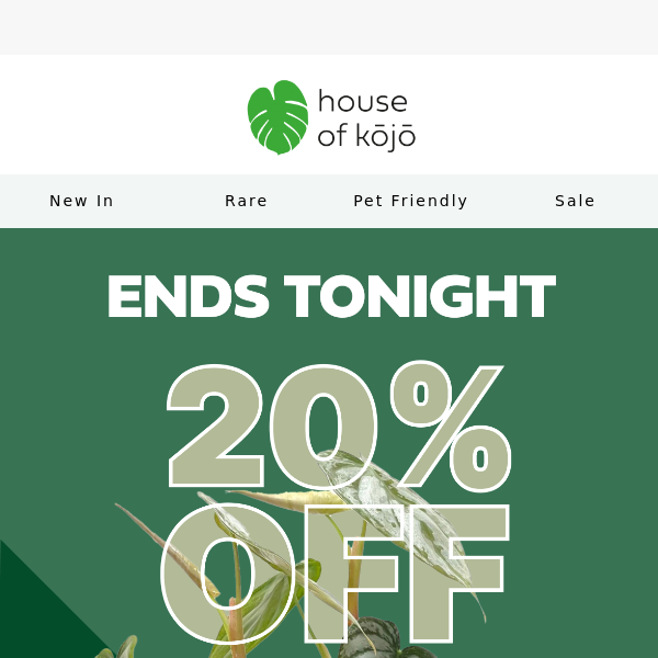 It's your last chance to get 20% off! ✨🌱