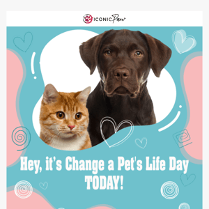 Make a pet happy today!