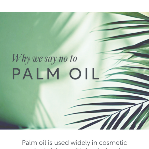 Why we say no to palm oil