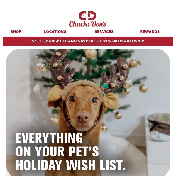 Last minute holiday deals for your pet