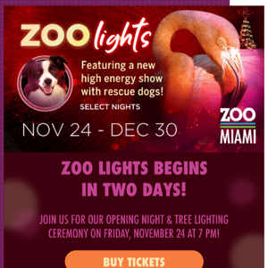 Zoo Lights Begins in TWO Days!