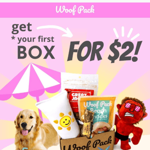 🚨DEAL ALERT for your pup🤑🐶