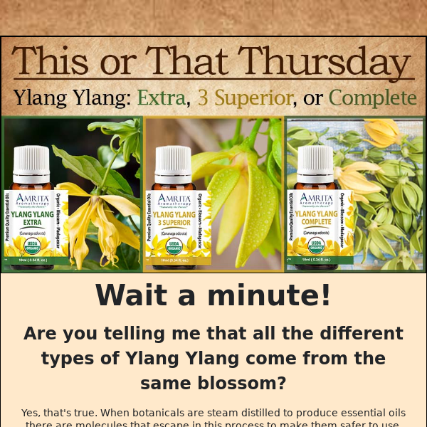 Did you know each Ylang Ylang from the same flower?!?