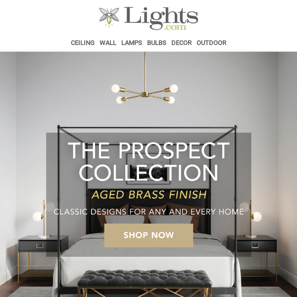 🔥 Sale Alert! Select Styles from The Prospect Collection at Lights.com