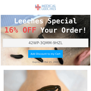 Medical Leech Special 16% OFF
