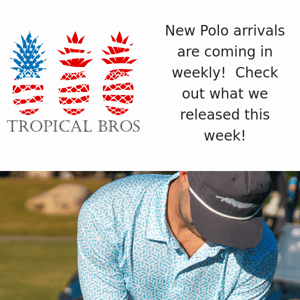 New Polo Arrivals 💥🏖️ Enjoy Life in Style