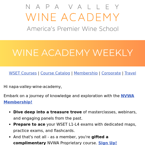 Pouring Points Video - WSET D1 Student Panel with Noelle Hale, dipWSET | WSET Diploma D1 & D3 Registration Deadlines Upcoming!