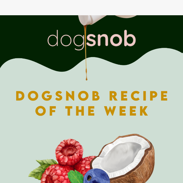 Dogsnob Recipe of the Week!