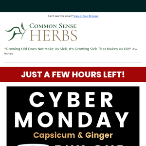 🚨 Cyber Monday Savings!