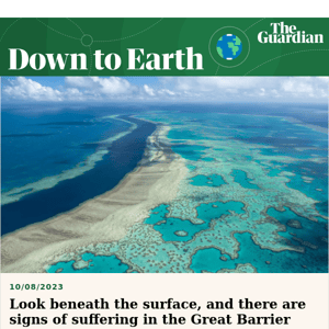 The Great Barrier Reef is in trouble | The Guardian