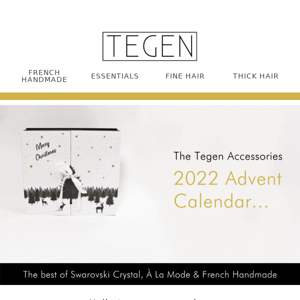 The Tegen Accessories Advent Calendar! 🌟